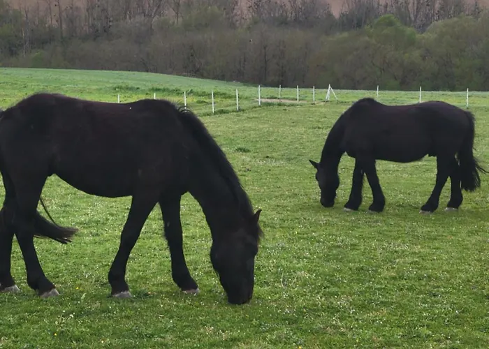 Гостевой дом Domaine De Buffevent