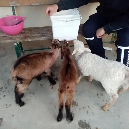 Domaine De Buffevent Cintegabelle