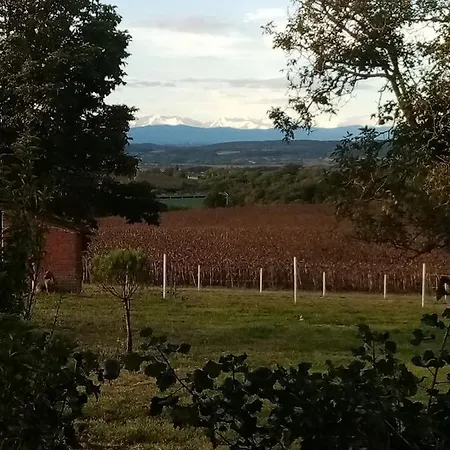 Domaine De Buffevent Cintegabelle