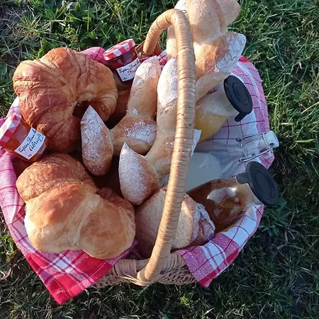 Domaine De Buffevent 4* Cintegabelle