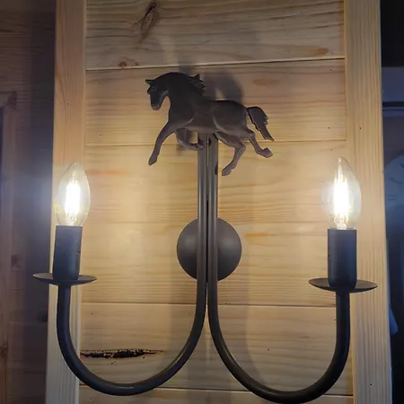 Domaine De Buffevent Casa de hóspedes Cintegabelle