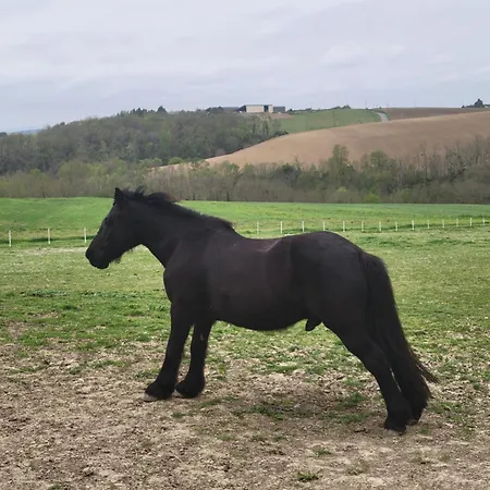 Casa de hóspedes Domaine De Buffevent 4*