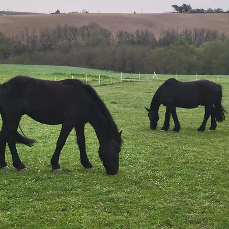 Casa de hóspedes Domaine De Buffevent