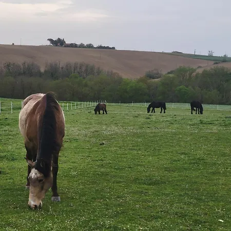 Casa de hóspedes Domaine De Buffevent 4*