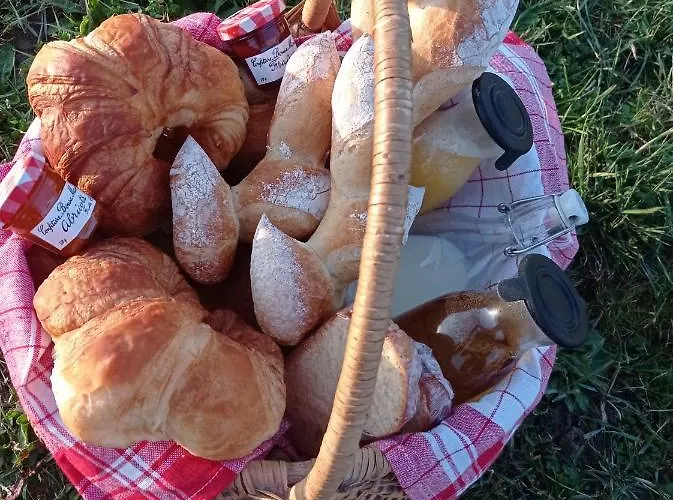 Domaine De Buffevent 4* Cintegabelle