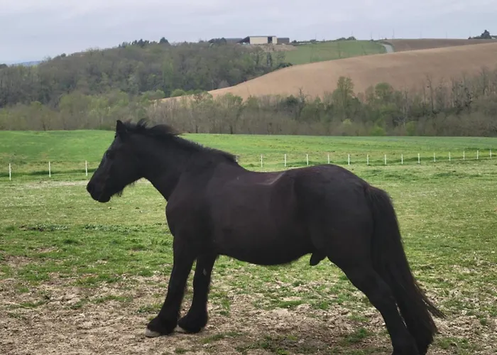 Pensjonat Domaine De Buffevent 4*