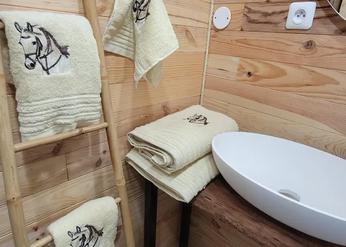 Domaine De Buffevent Cintegabelle